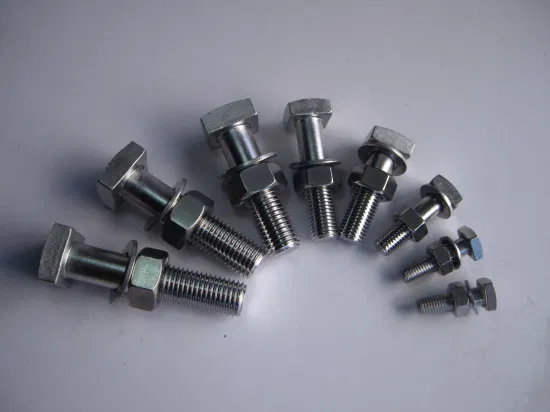 Customized Square Head Bolt for China Factoy