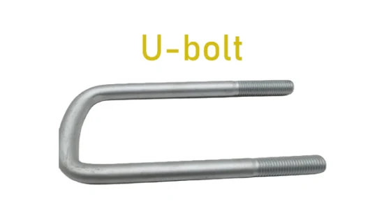 Galvanized Carbon Steel U Shaped Bolt and Anchor Bolt Fastener DIN3570
