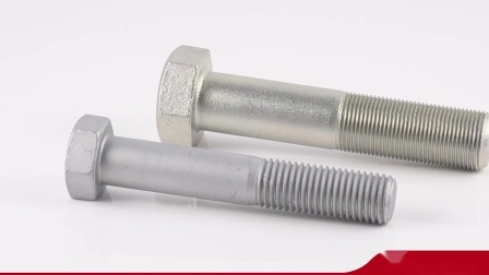 Hex Head Cap Screw Manufacturer ANSI/ASTM/ASME Hex Bolt with HDG More More Than 10 Years Produce Experience Factory